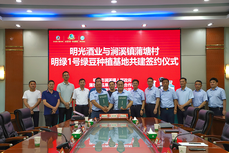 明光酒業(yè)舉辦綠豆基地共建簽約儀式